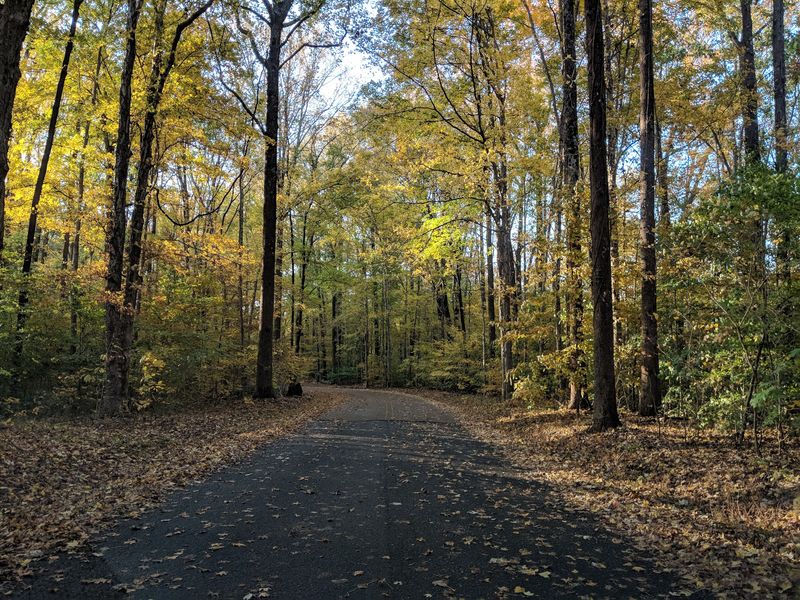 Meeman-Shelby Forest State Park Meeman-Shelby Forest State Park