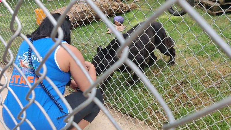Meet the Knowledgeable Staff Who Genuinely Love These Animals