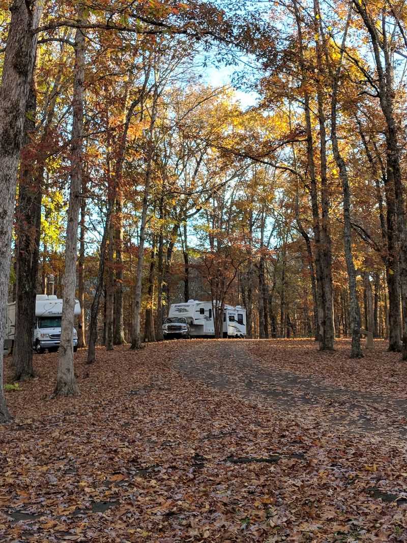 Meriwether Lewis Campground - Hohenwald Meriwether Lewis Campground - Hohenwald
