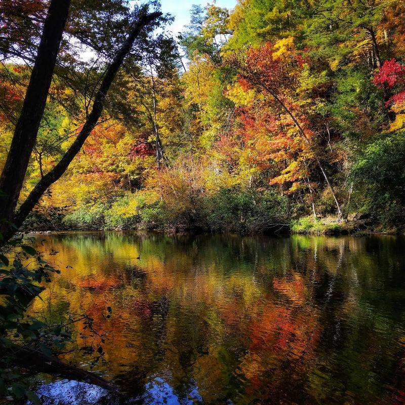 Metcalf Bottoms Picnic Area Turns Golden