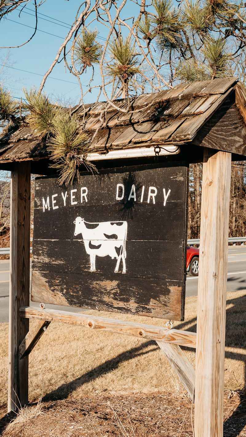 Meyer Dairy Farms