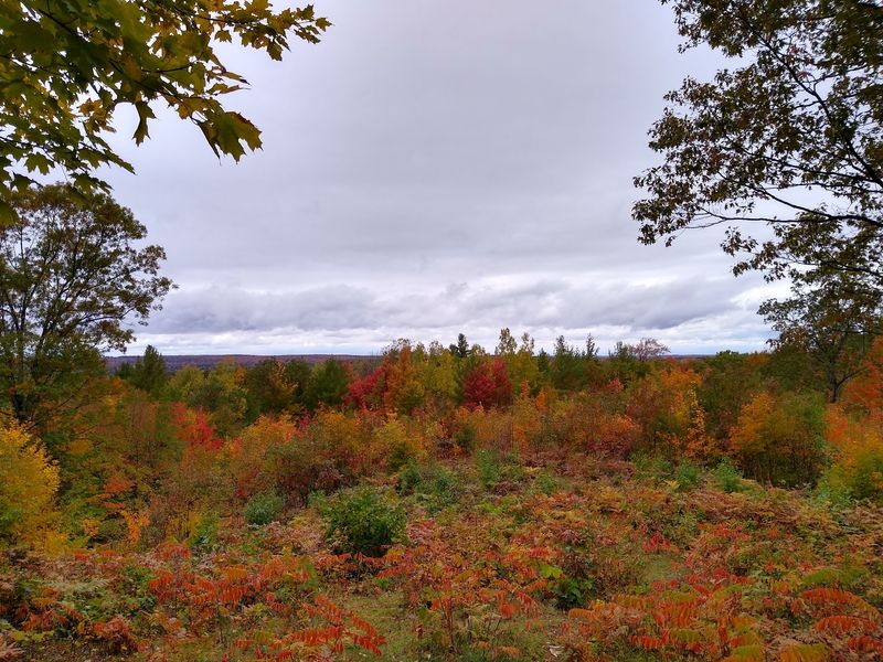 Michigan Fall Color With Room to Breathe Michigan Fall Color With Room to Breathe