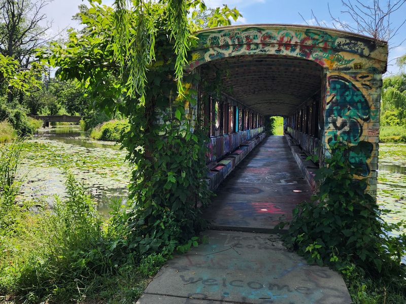 Michigan Light Plays Tricks on the Walls