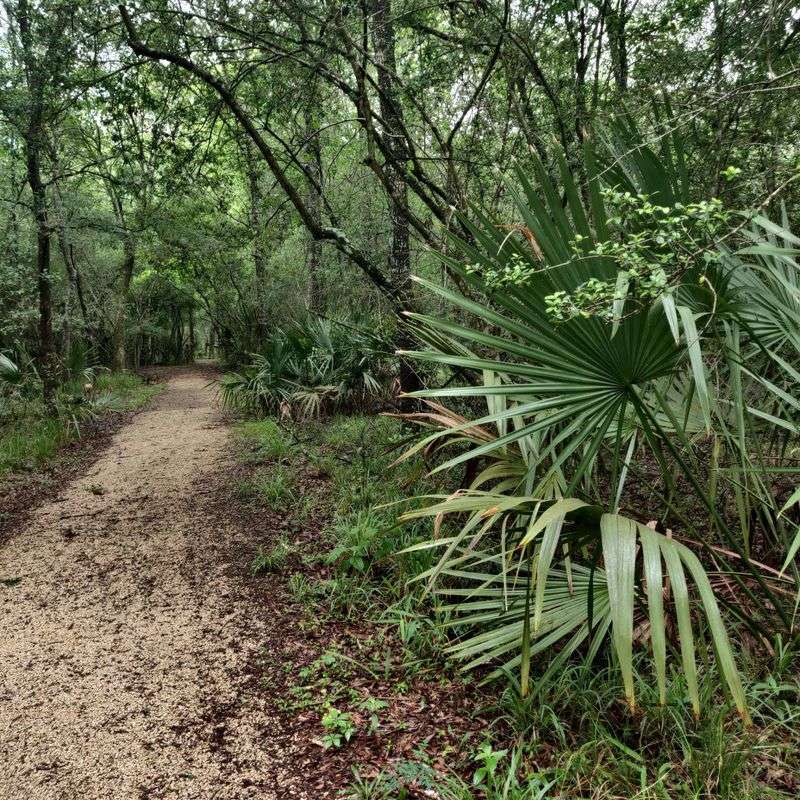 Miles Of Easy Walking Trails Through Three Ecosystems Miles Of Easy Walking Trails Through Three Ecosystems