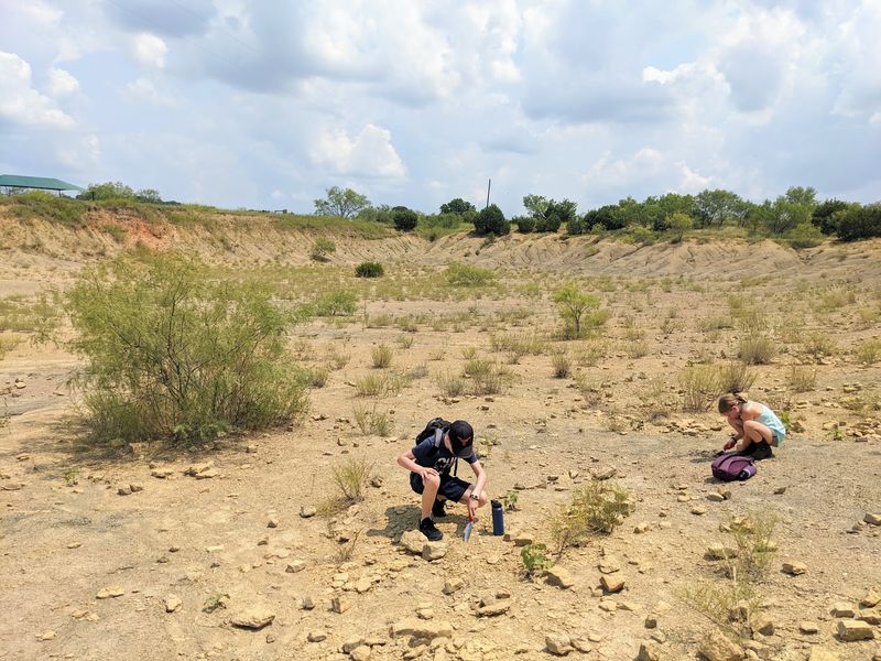 Mineral Wells Fossil Park (Mineral Wells)