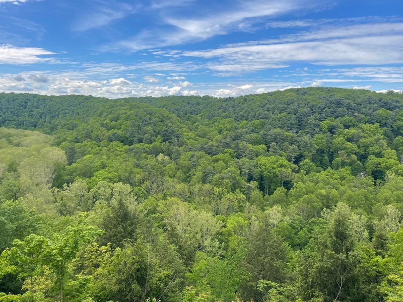 Mohican State Park Gorge Trail, Loudonville, Ashland County