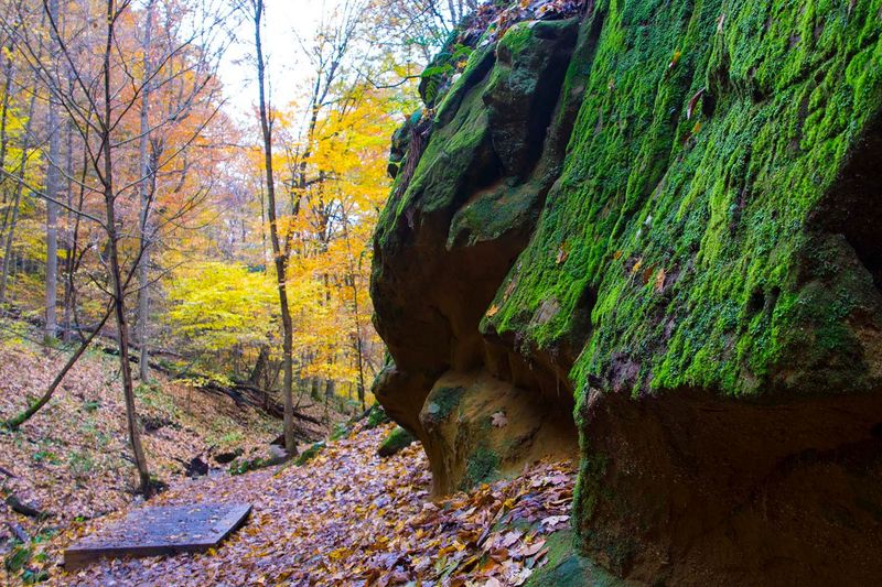 Mohican State Park (Loudonville)
