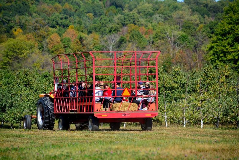 Monroe’s Orchard – Hiram
