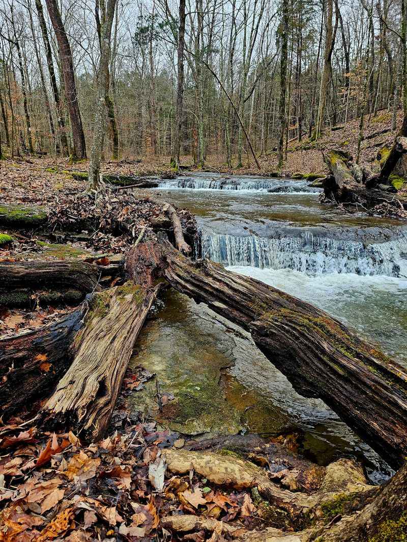 Montgomery Bell State Park, Burns Montgomery Bell State Park, Burns