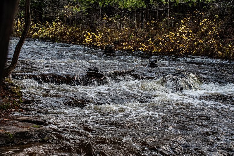 More Than a Quick Stop in Presque Isle County, Michigan