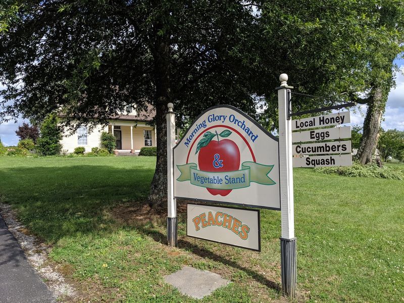 Morning Glory Orchard, Nolensville Morning Glory Orchard, Nolensville