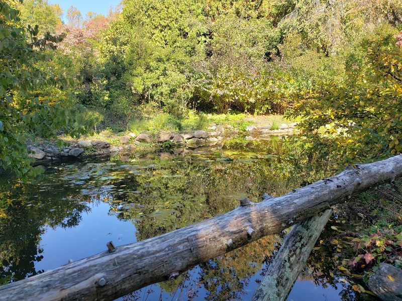 NJDEP Wildlife Conservation Corps - Statewide NJDEP Wildlife Conservation Corps - Statewide
