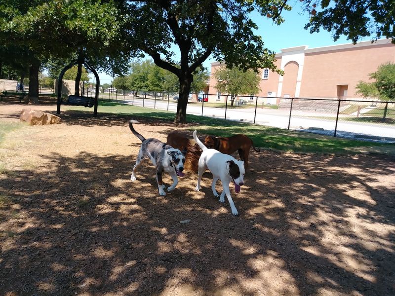 NRH Tipps Canine Hollow Dog Park (North Richland Hills) NRH Tipps Canine Hollow Dog Park (North Richland Hills)