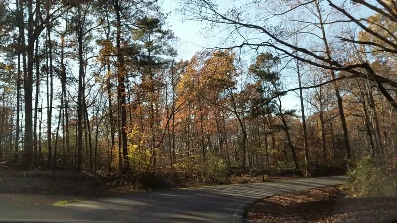 Natchez Trace State Park, Wildersville Natchez Trace State Park, Wildersville