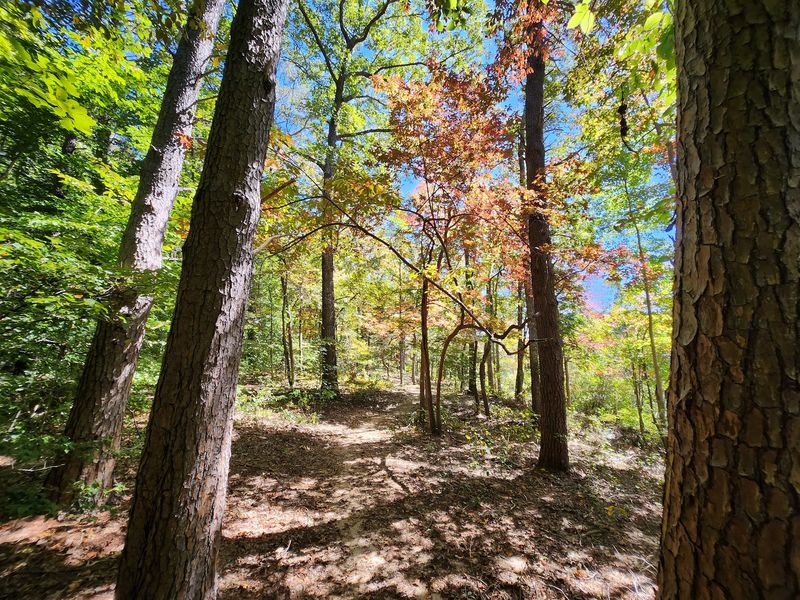 Natchez Trace State Park Natchez Trace State Park