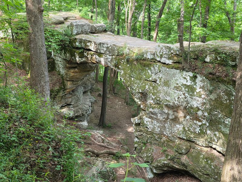 Natural Bridge - Sewanee Natural Bridge - Sewanee