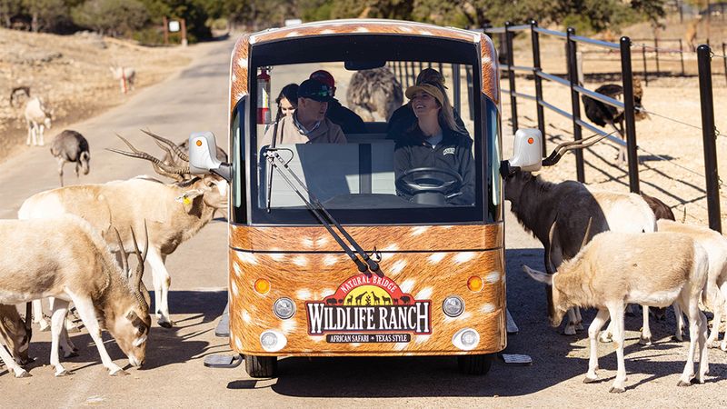 Natural Bridge Wildlife Ranch (San Antonio) Natural Bridge Wildlife Ranch (San Antonio)