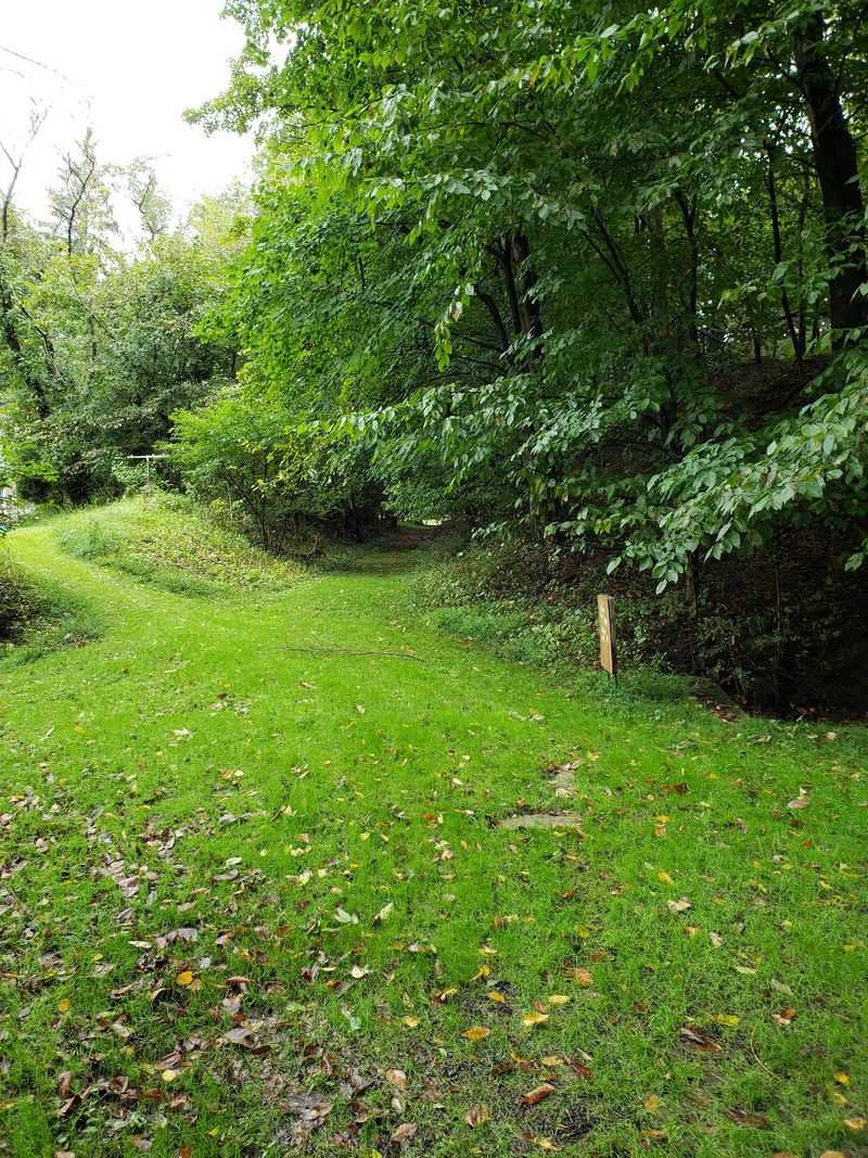 Nature Trails For A Gentle Walk