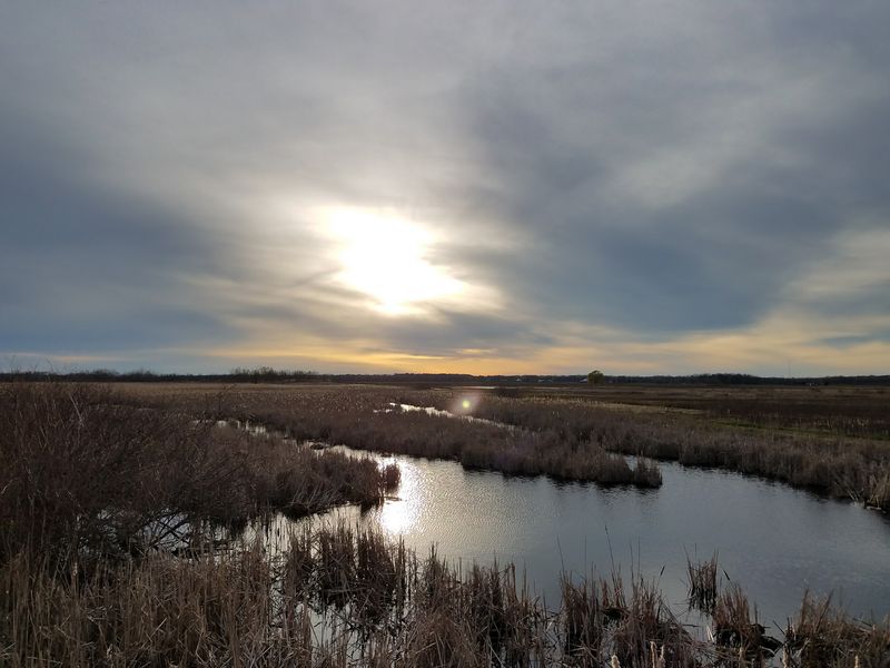 Nayanquing Point State Wildlife Area, Pinconning: Dikes, Mudflats, and Big Sky Nayanquing Point State Wildlife Area, Pinconning: Dikes, Mudflats, and Big Sky