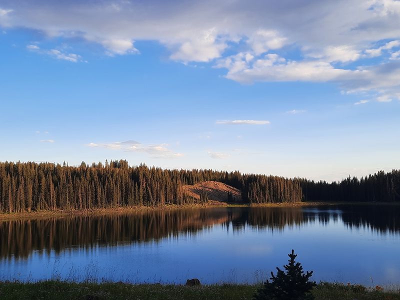Ward Lake Campground (Grand Mesa) Ward Lake Campground (Grand Mesa)