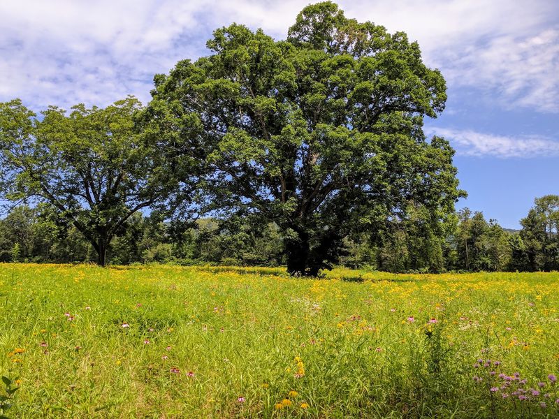Nearby Parks and Scenic Drives Turn a Visit Into a Full Weekend Escape