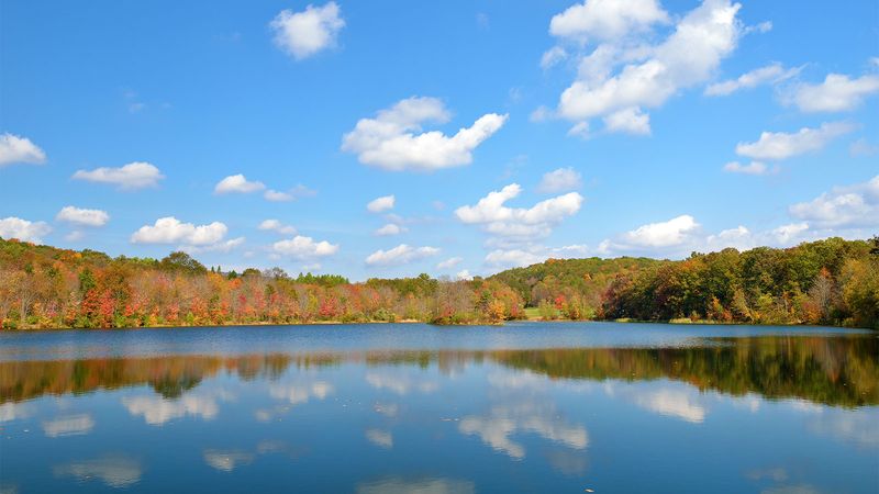 Nescopeck State Park - Drums