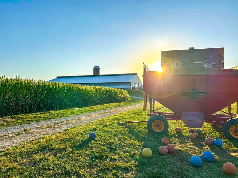 Niederman Family Farm, Liberty Township Niederman Family Farm, Liberty Township