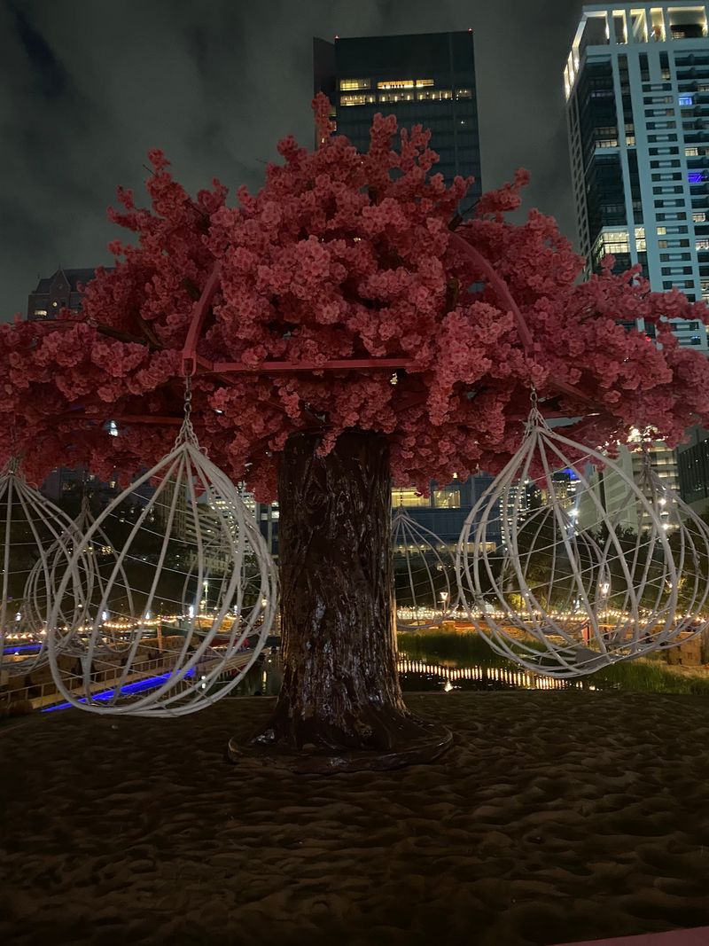 Nighttime Transforms the Experience Nighttime Transforms the Experience