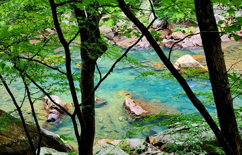 North Chickamauga Creek Gorge State Park - Chattanooga North Chickamauga Creek Gorge State Park - Chattanooga