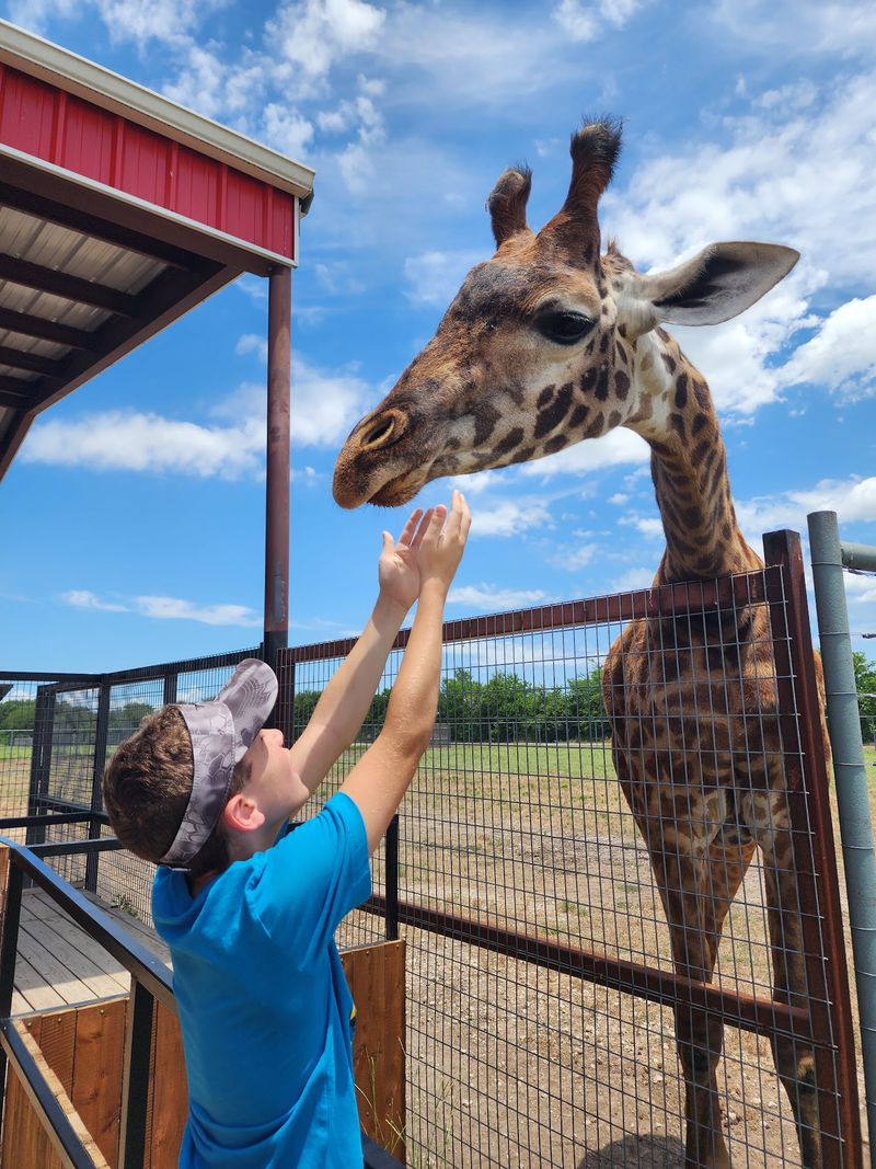 North Texas Safari Park (Bonham) North Texas Safari Park (Bonham)