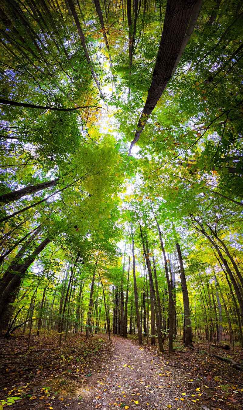 Oak Hill Trail, Peninsula