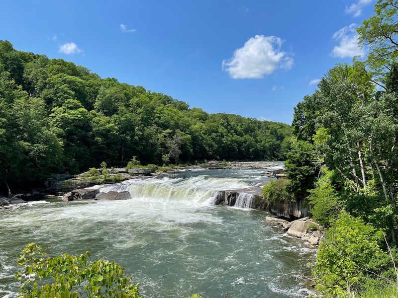 Ohiopyle Falls In The Middle Of Town