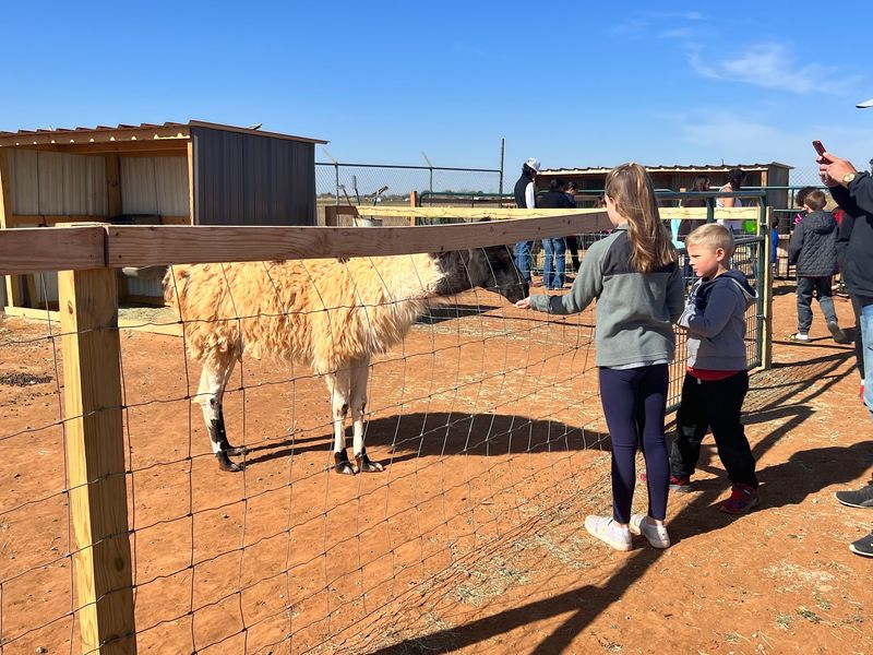 Old MacDonald’s Petting and Family Fun Farm (Lubbock)