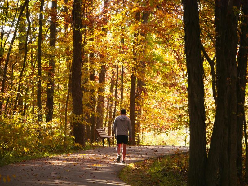 Open Sky Walking at Glacier Ridge Metro Park Open Sky Walking at Glacier Ridge Metro Park