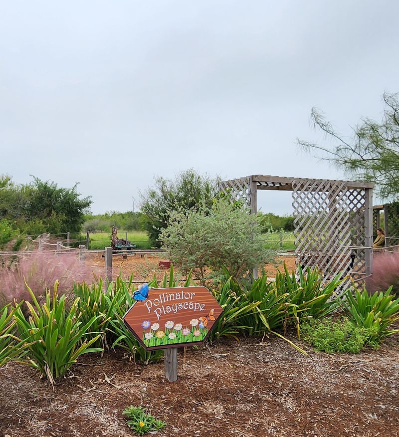 Oso Bay Wetlands Preserve (Corpus Christi) Oso Bay Wetlands Preserve (Corpus Christi)