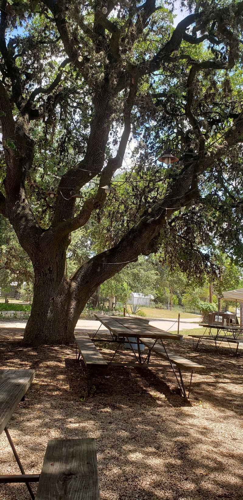 Outdoor Seating with Hill Country Views Outdoor Seating with Hill Country Views