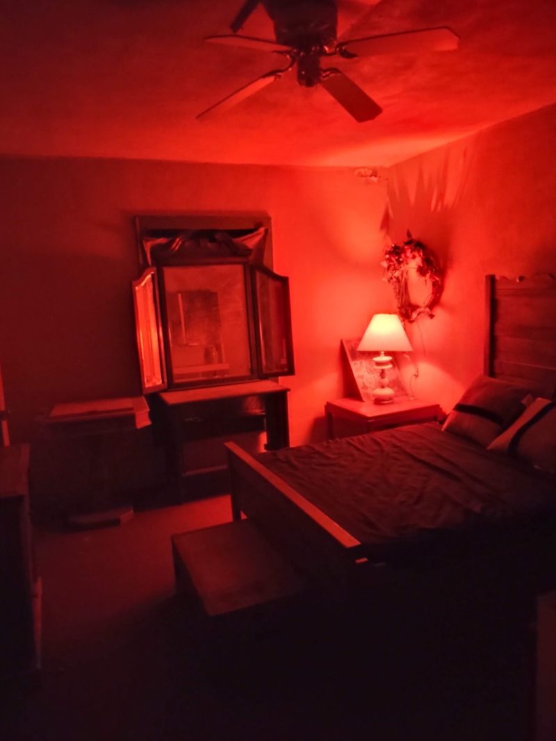 Overnight Investigations That Deliver Unforgettable Experiences
