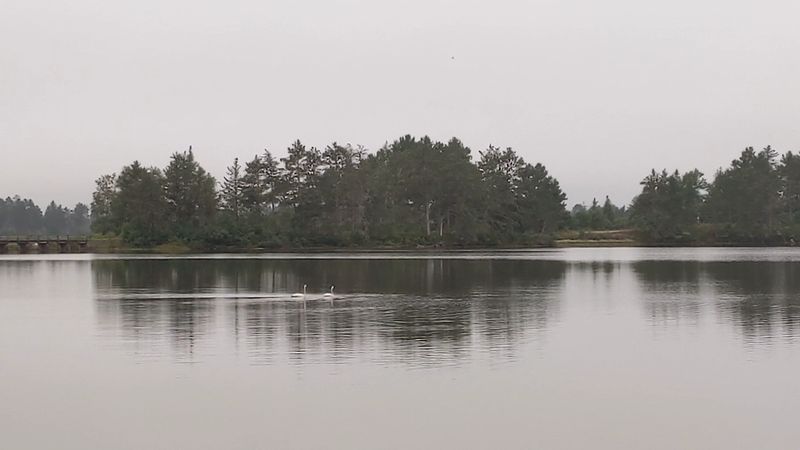 Pack for Marsh Weather, Not Just the Forecast Pack for Marsh Weather, Not Just the Forecast