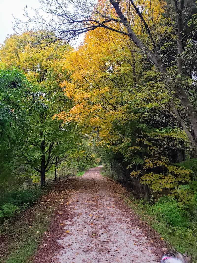 Paint Creek Trail - Rochester