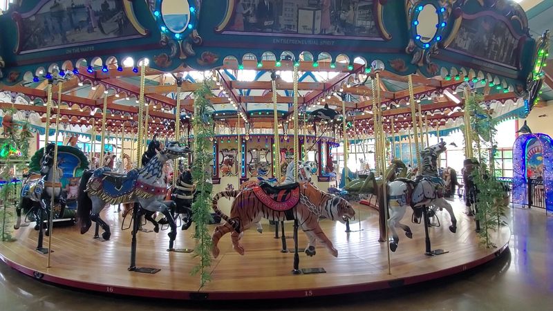 Painted animals turn the ride into a moving gallery
