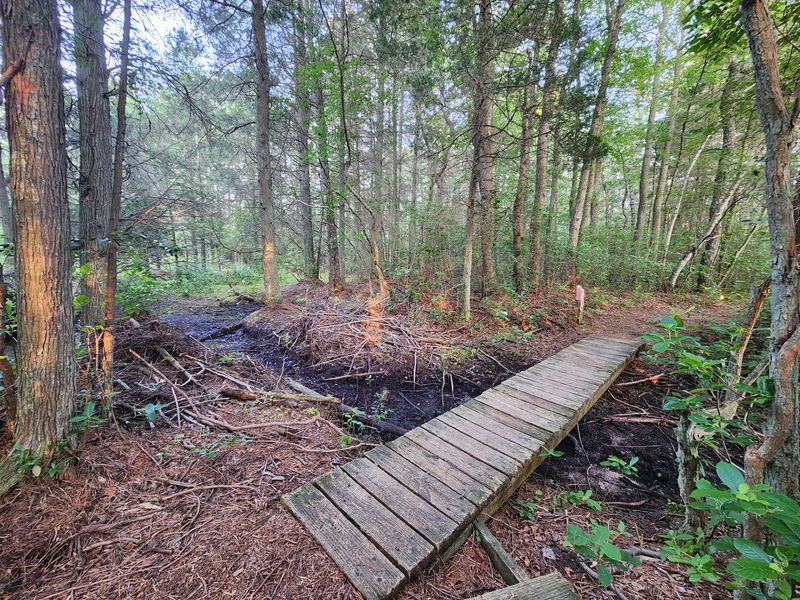 Pakim Pond and Mount Misery Trail Loop - Woodland Township