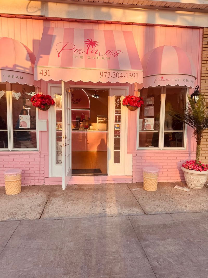 Palmas Ice Cream Grew From a Bronx Salon Side Hustle