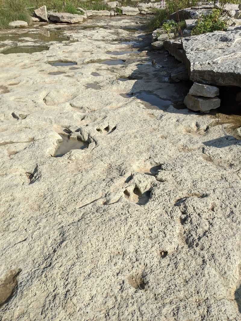 Paluxy River at Dinosaur Valley State Park (Glen Rose)