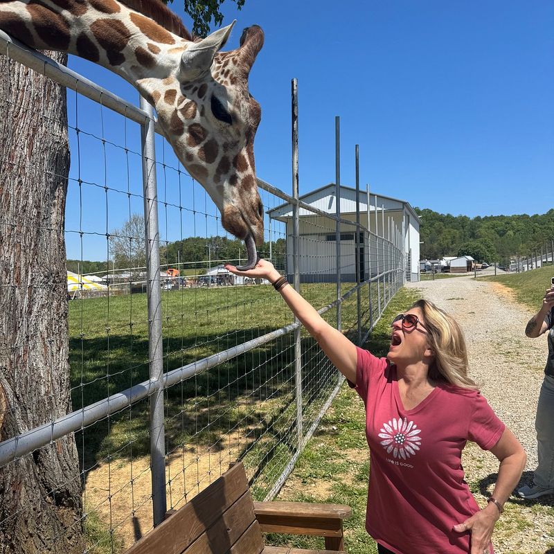 Parakeets and Surprises at Rose Valley Animal Park