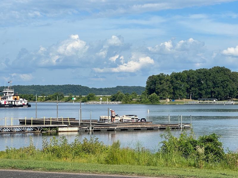 Paris Landing State Park - Buchanan