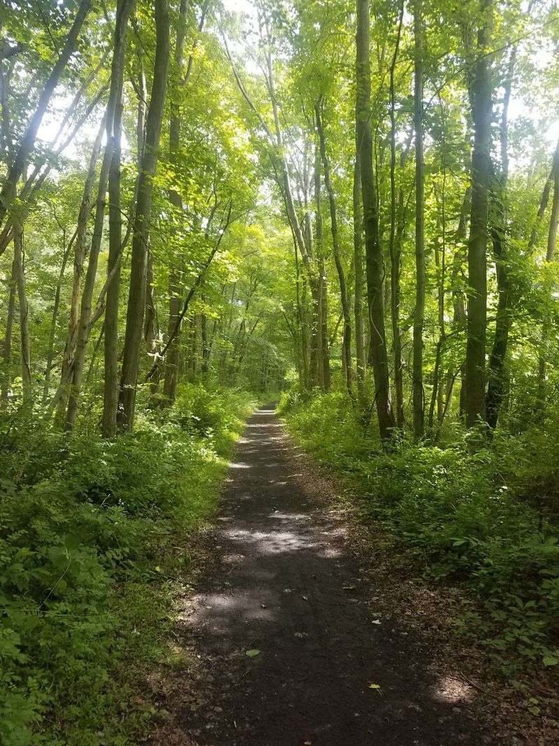 Paulinskill Valley Trail - Knowlton Township Paulinskill Valley Trail - Knowlton Township