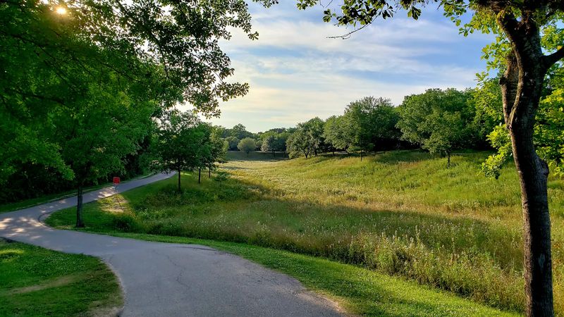Paved Perfection for Every Wheel and Foot