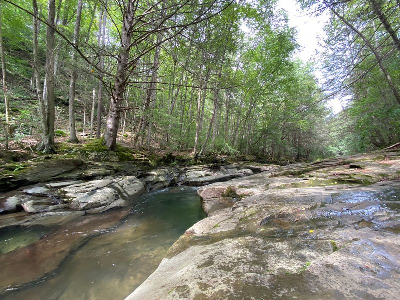 Peaceful Forest Vibes Off the Grid Peaceful Forest Vibes Off the Grid