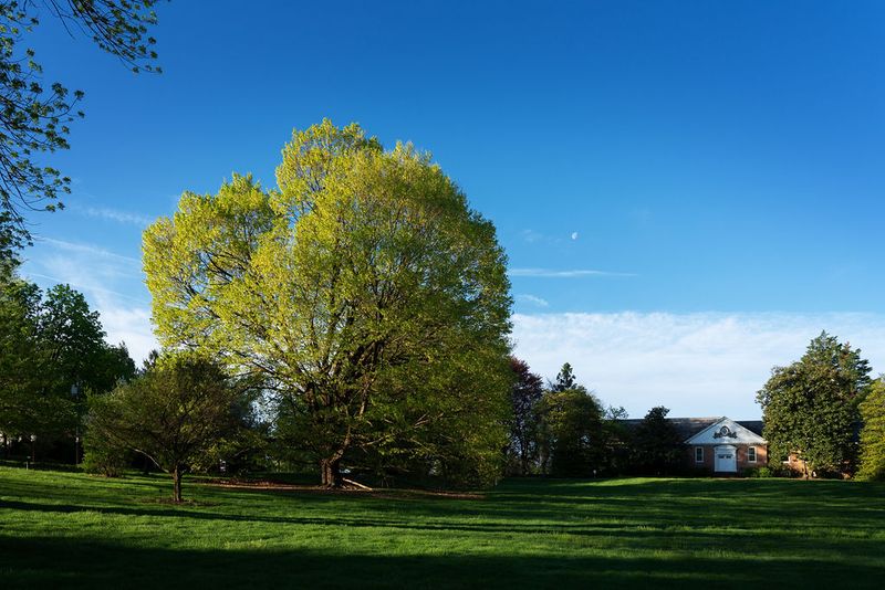 Peaceful Walks Without A Big Crowd