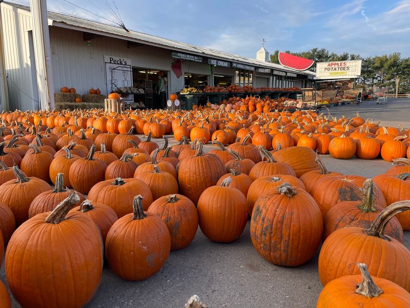 Peck's Farm Market East Peck's Farm Market East